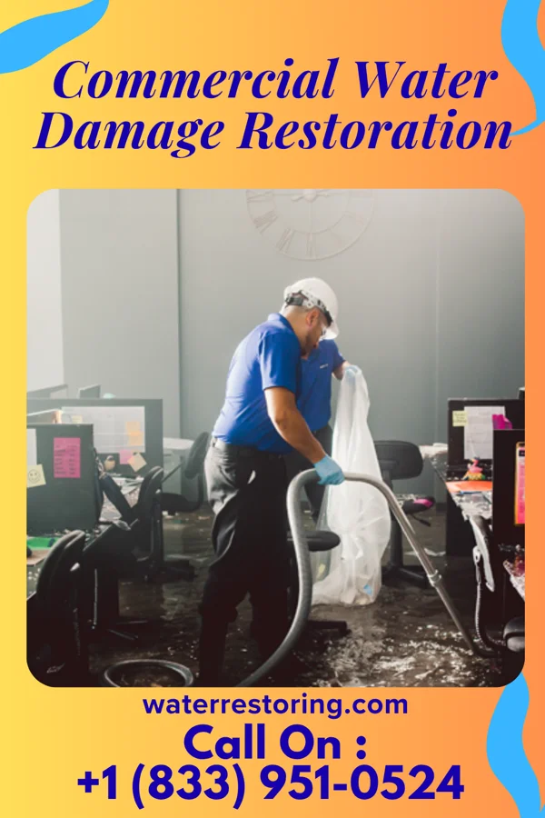 Commercial Water Damage Restoration in Cyrus, MN