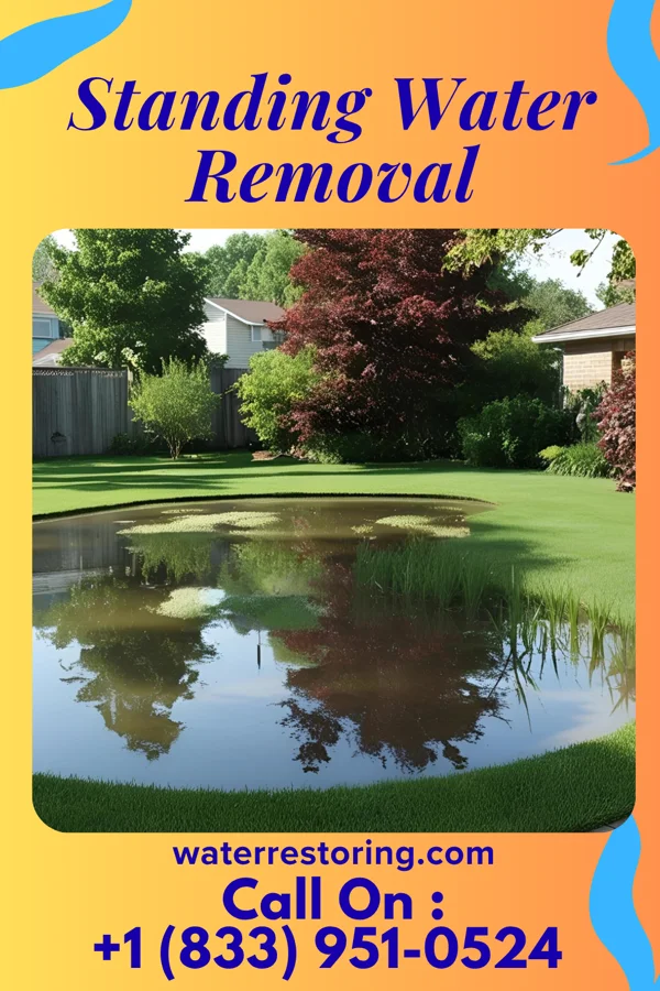 Standing Water Removal in Cyrus, MN